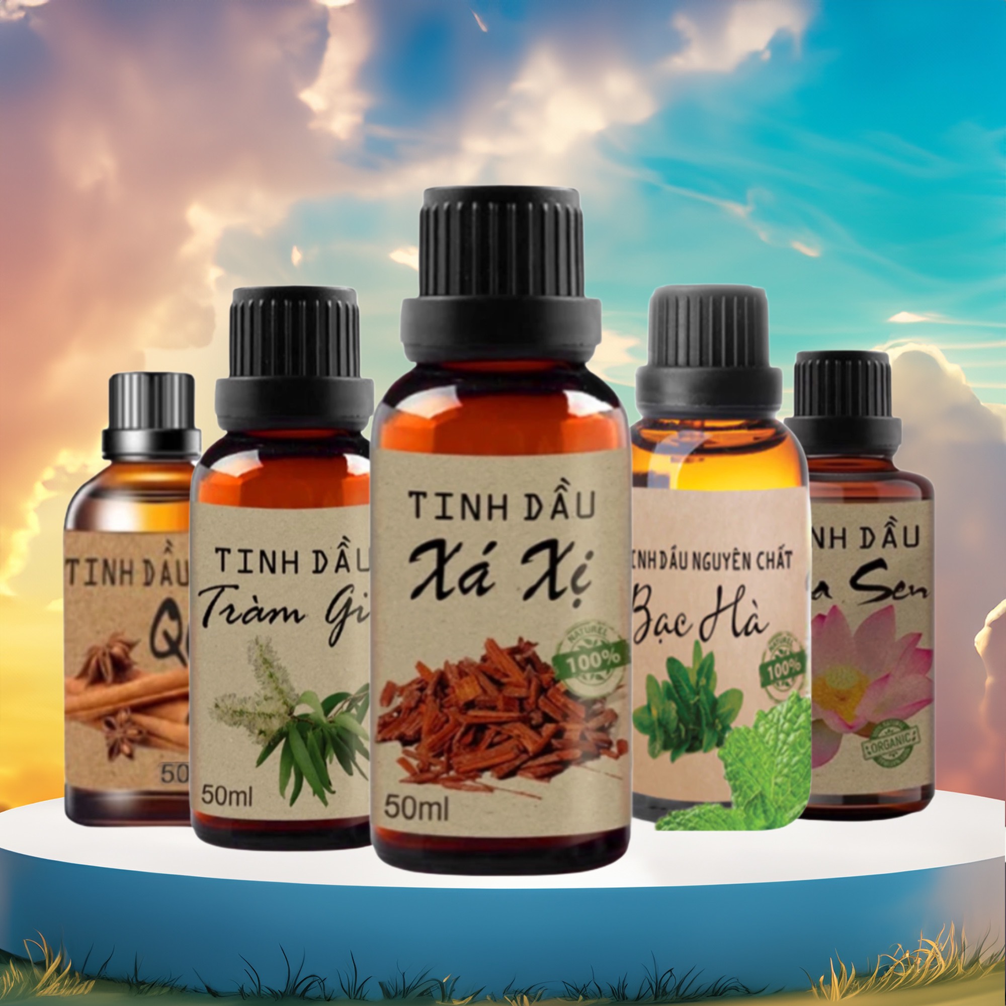 Máy Xông Tinh Dầu Sạc Pin Xe Hơi, Phòng Ngủ, Đuổi muỗi. Máy không Dây, pin dùng 4h-6h - Tạo độ ẩm, thơm mát + Tăng tinh dầu xả fava 10ml - Ảnh 8